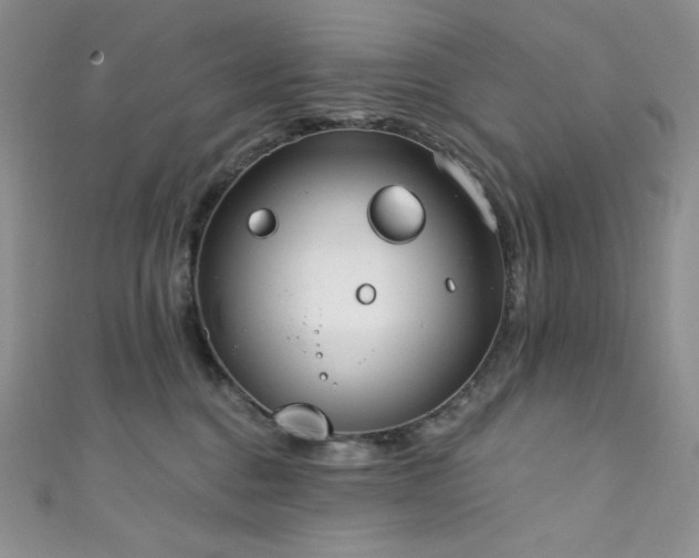 X0000111890376200907231601