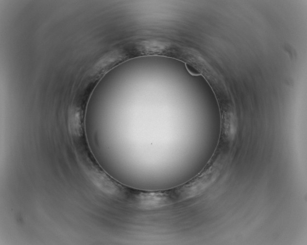 X0000111890378200907231601