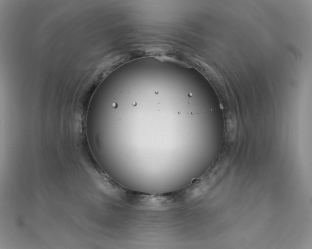 X0000111890379200907231601