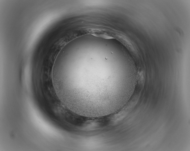 X0000111890381200907231601