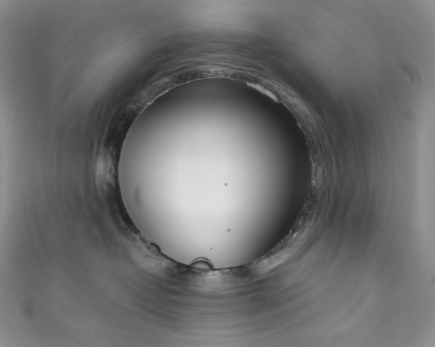 X0000111890382200907231601