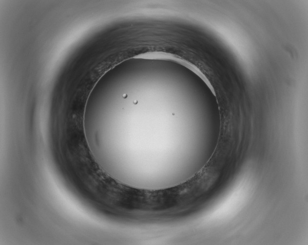 X0000111890383200907231601