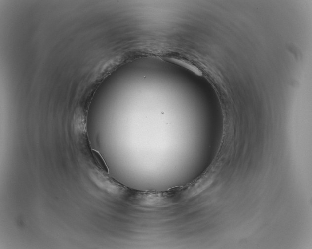 X0000111890384200907231601