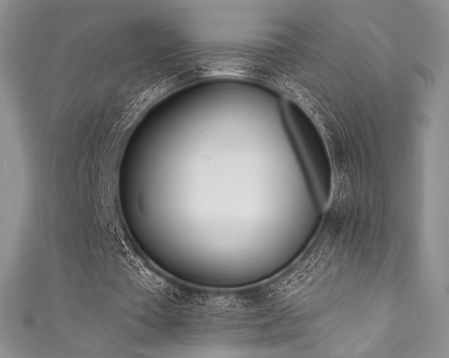 X0000111890385200907231601