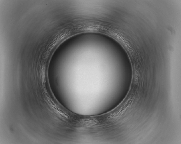 X0000111890386200907231601