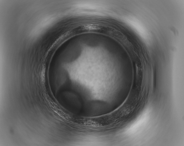 X0000111890387200907231601