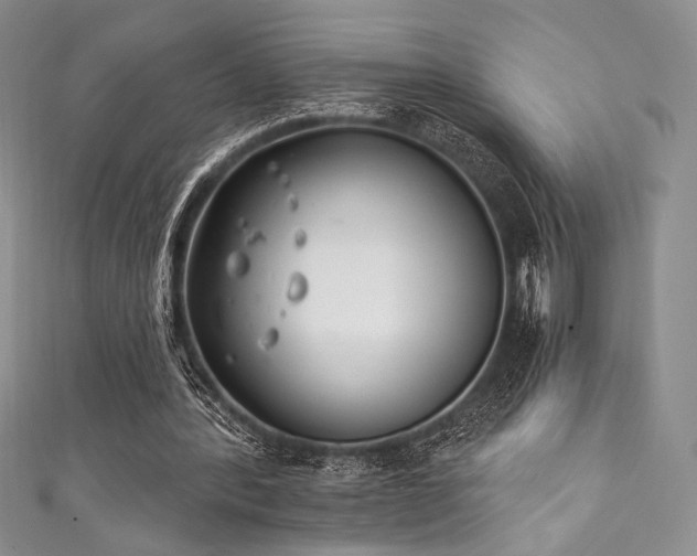 X0000111890388200907231601