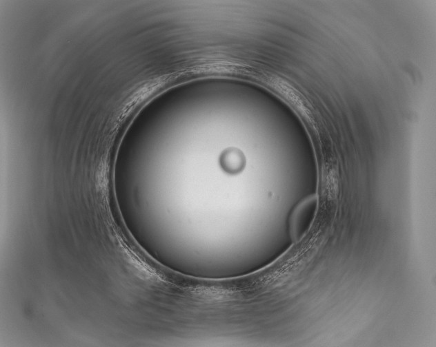 X0000111890389200907231601