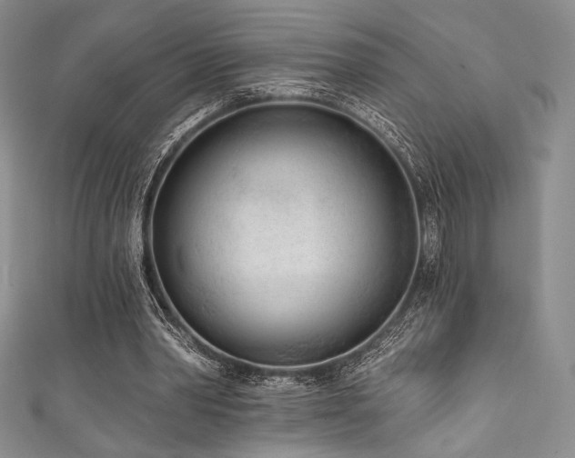 X0000111890390200907231601