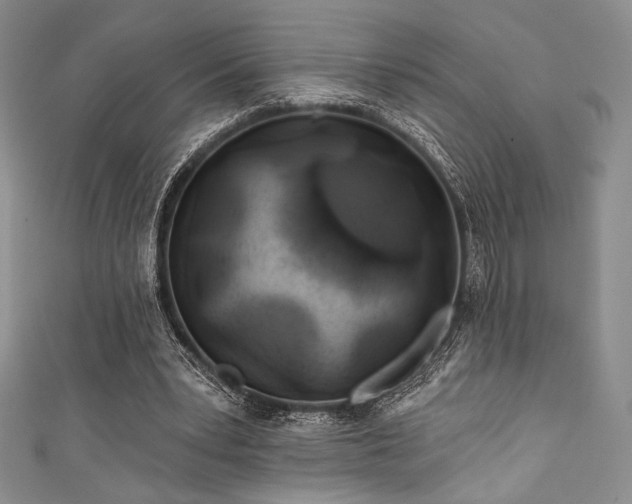 X0000111890391200907231601