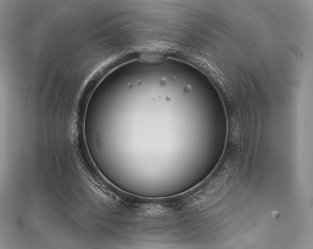 X0000111890392200907231601