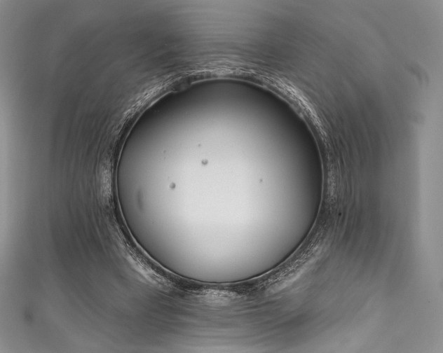 X0000111890393200907231601