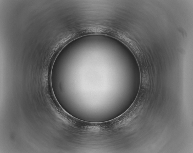 X0000111890394200907231601