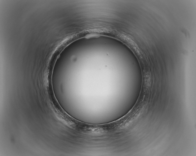 X0000111890395200907231601