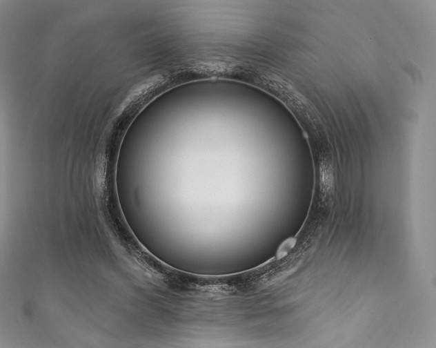 X0000111890396200907231601