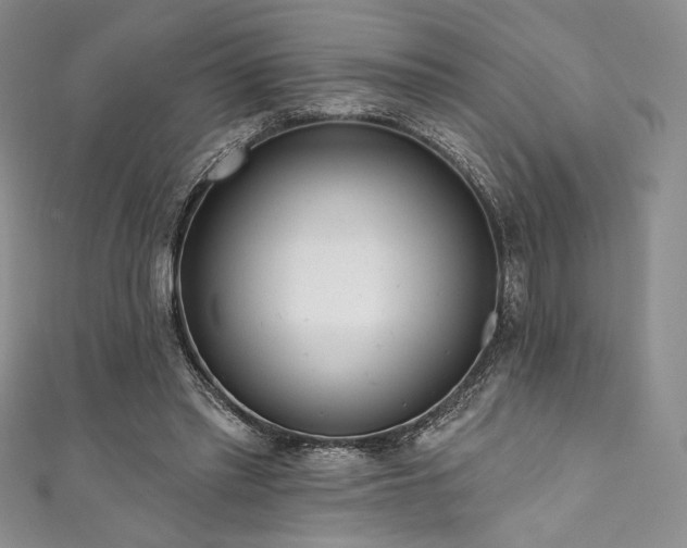 X0000111890397200907231601