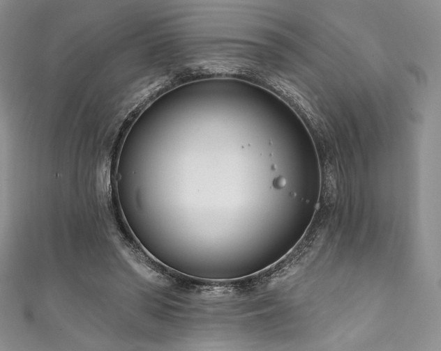 X0000111890398200907231600