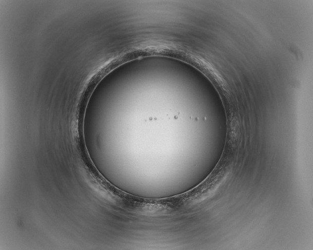 X0000111890399200907231600