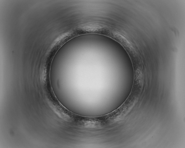 X0000111890400200907231600