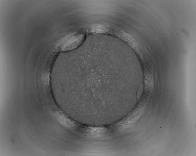 X0000111890401200907231600