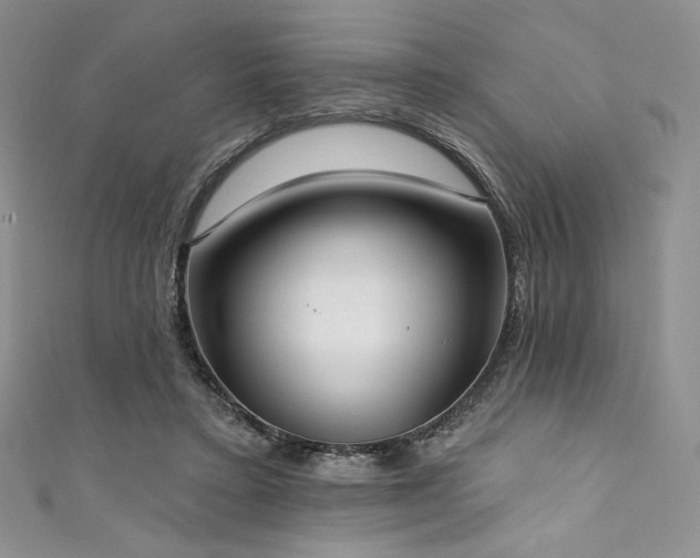 X0000111890403200907231600