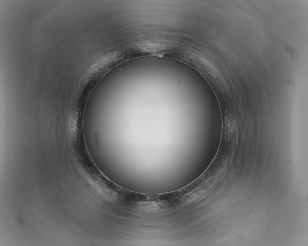 X0000111890404200907231600