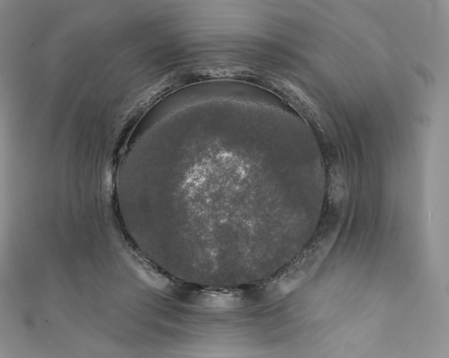 X0000111890405200907231600