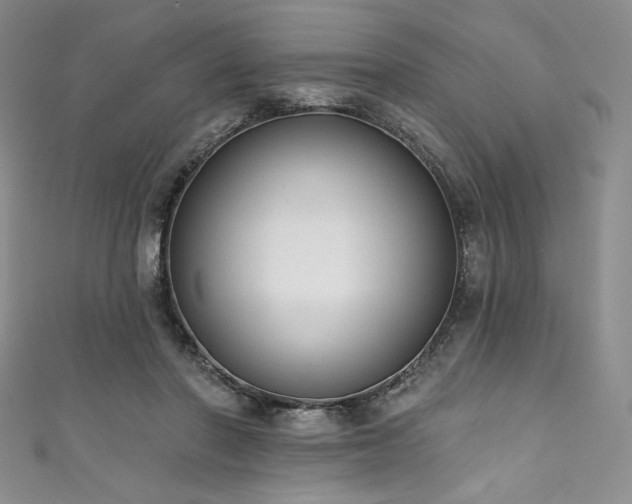 X0000111890406200907231600