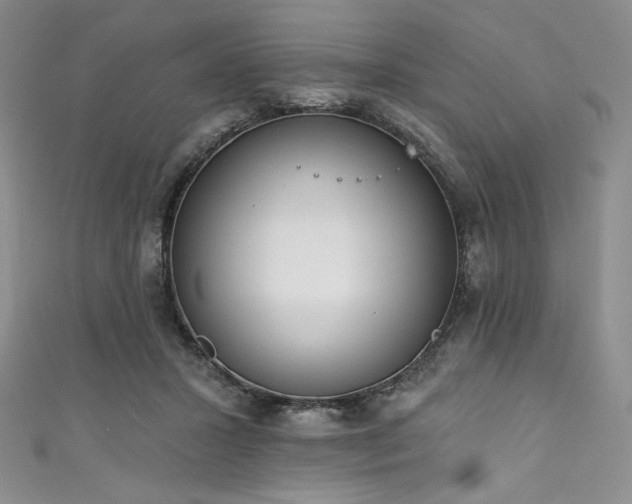 X0000111890407200907231600