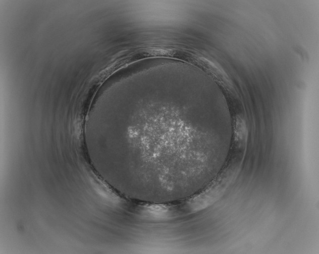 X0000111890409200907231600