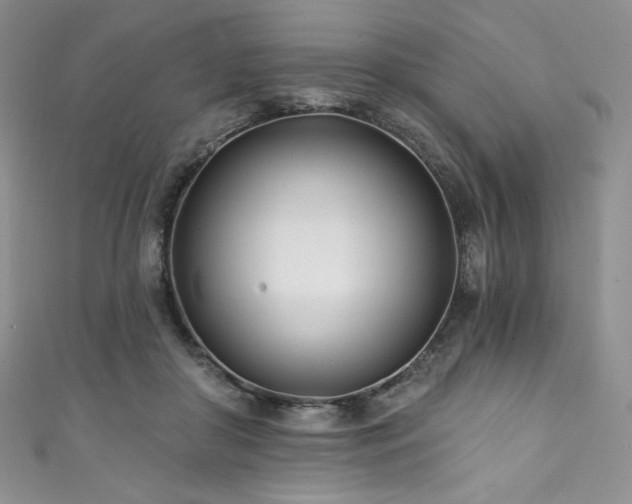 X0000111890410200907231600