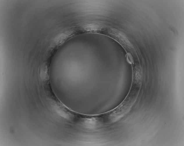 X0000111890411200907231600