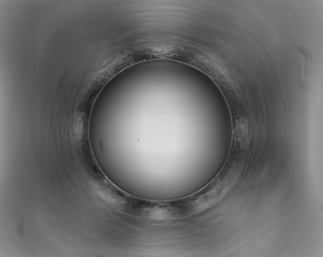 X0000111890412200907231600