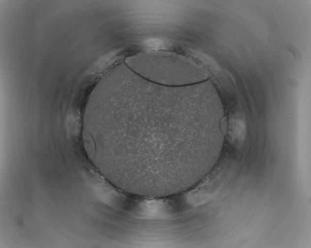 X0000111890413200907231600