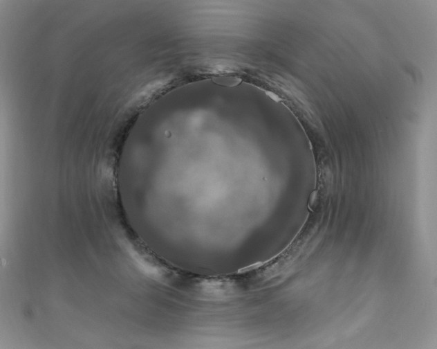 X0000111890415200907231600