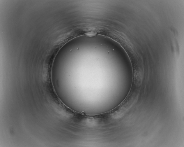 X0000111890416200907231600