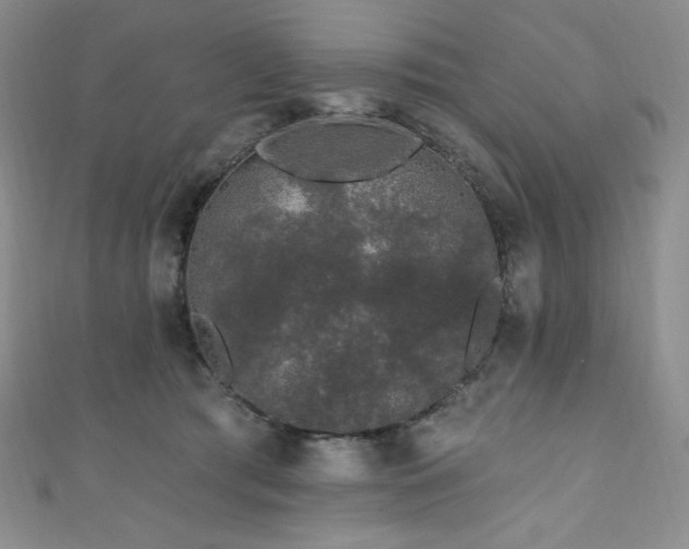 X0000111890417200907231600