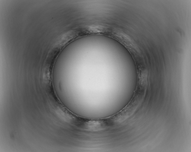 X0000111890418200907231600