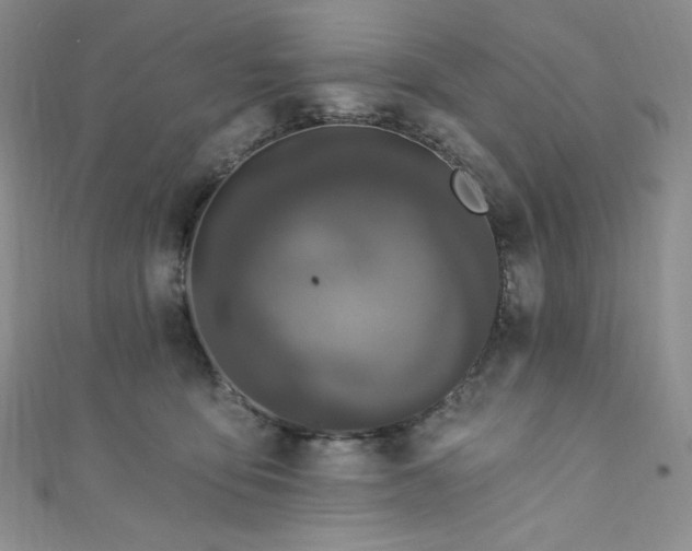 X0000111890419200907231600