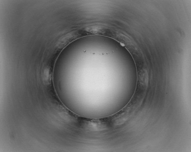 X0000111890420200907231600