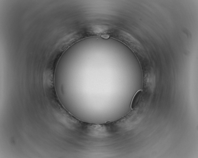 X0000111890421200907231600