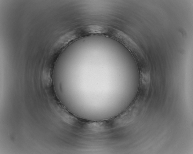 X0000111890422200907231600