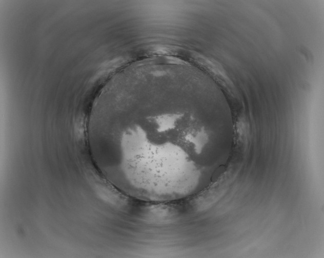 X0000111890423200907231600