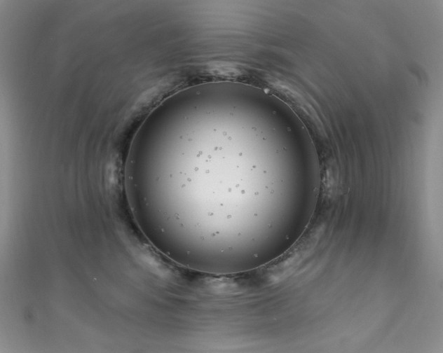 X0000111890424200907231600