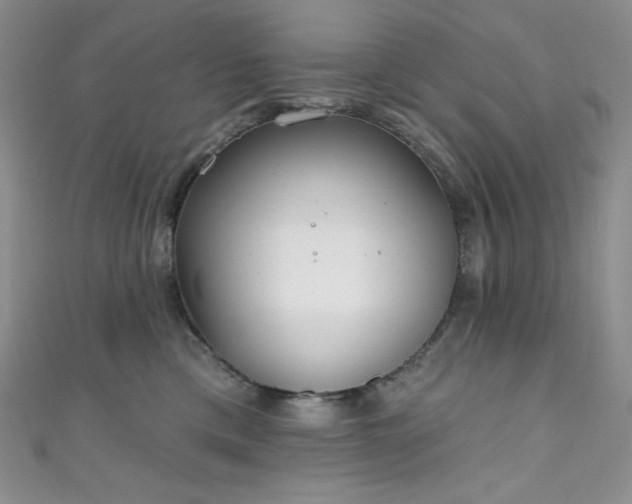 X0000111890425200907231600