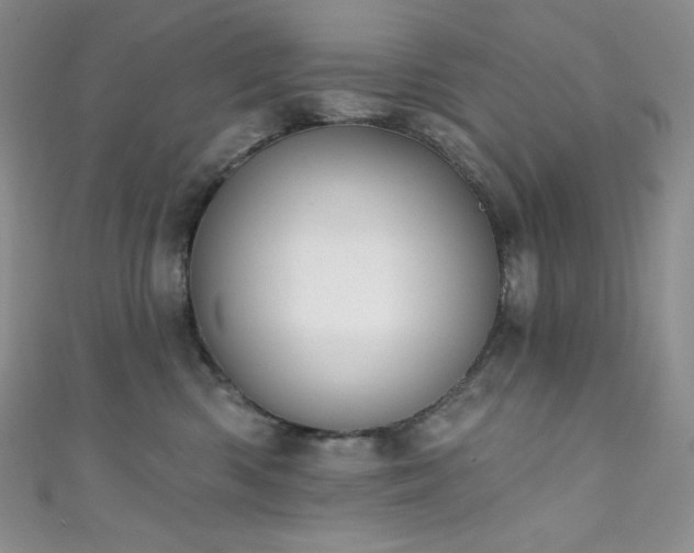 X0000111890426200907231600