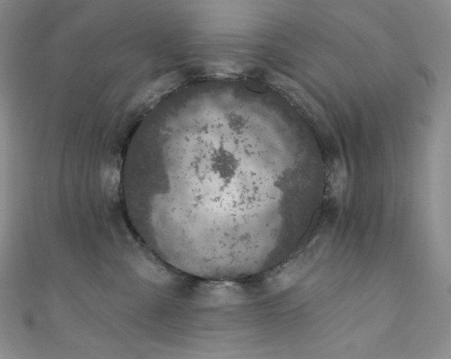 X0000111890427200907231600