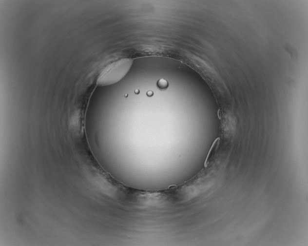 X0000111890428200907231600