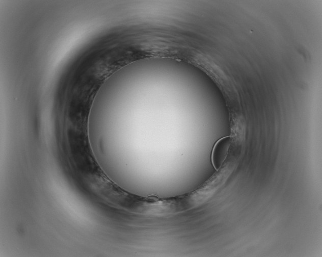 X0000111890430200907231600