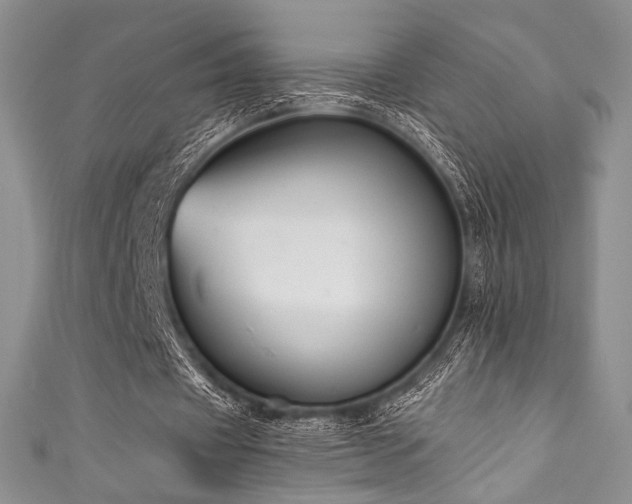X0000111890433200907231559
